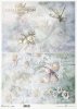 akwarelowe tła, kwiaty, ważka, motyl, stokrotki, róże, zakochane pary*Watercolour backgrounds, flowers, dragonfly, butterfly, daisies, roses, couples in love